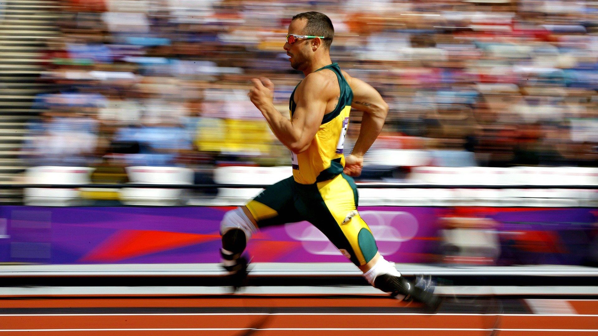 赛艇锦标赛：水上速度与耐力的较量，赛艇比赛规则